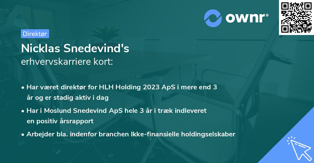 Nicklas Snedevind's erhvervskarriere kort