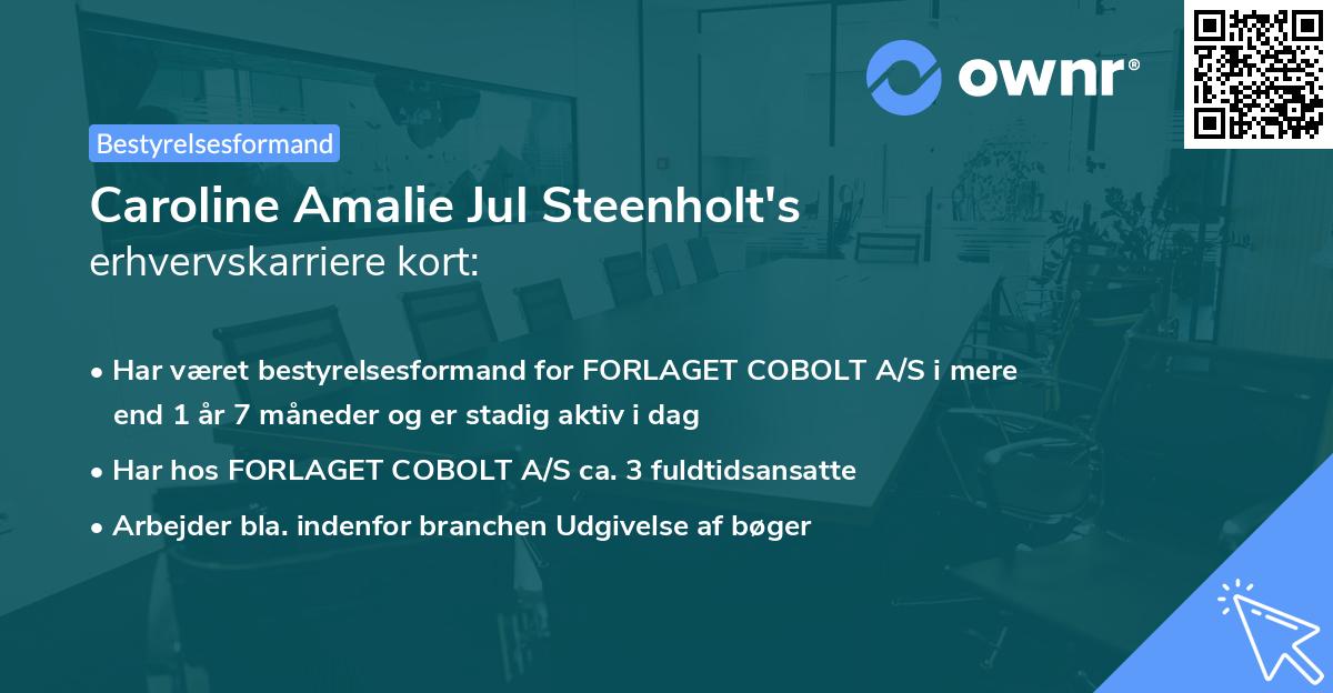 Caroline Amalie Jul Steenholt's erhvervskarriere kort