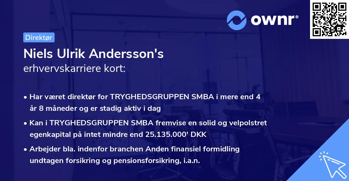 Niels Ulrik Andersson's erhvervskarriere kort