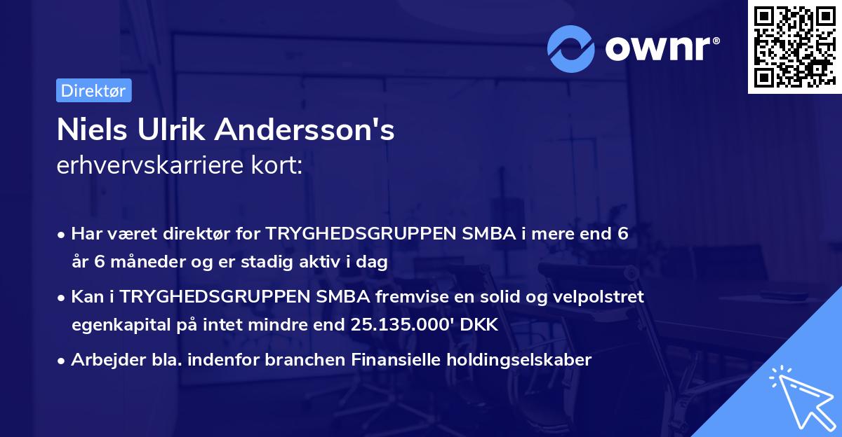 Niels Ulrik Andersson's erhvervskarriere kort