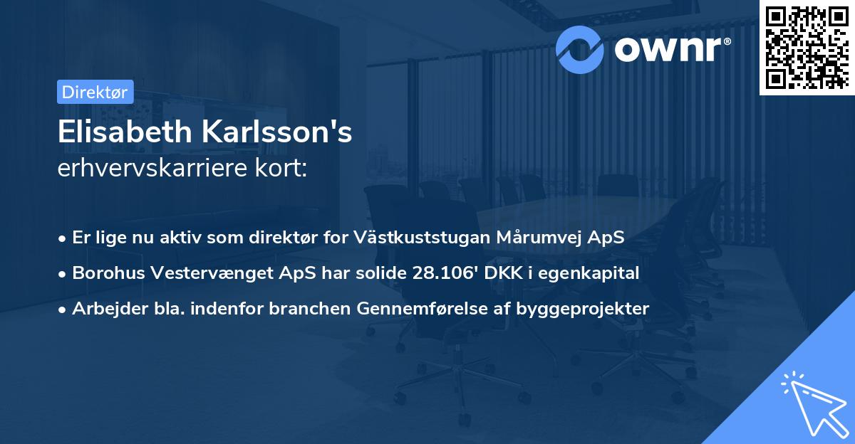 Elisabeth Karlsson's erhvervskarriere kort
