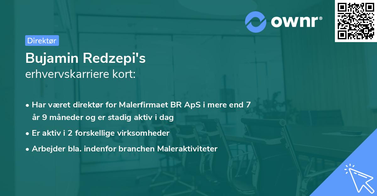 Bujamin Redzepi's erhvervskarriere kort