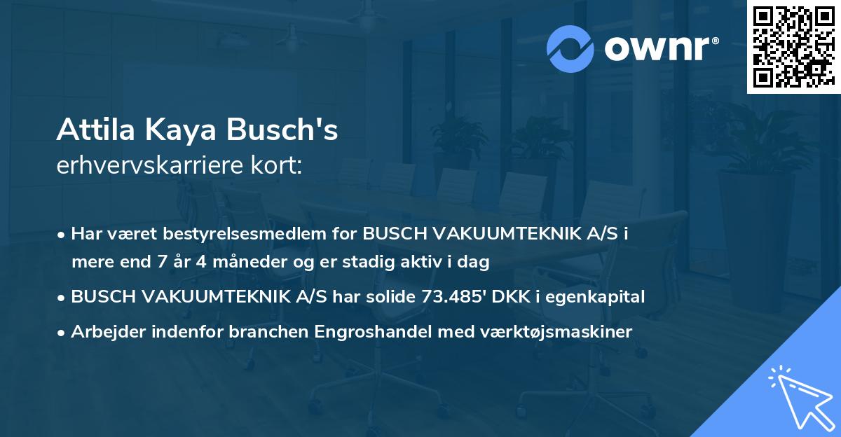Attila Kaya Busch's erhvervskarriere kort