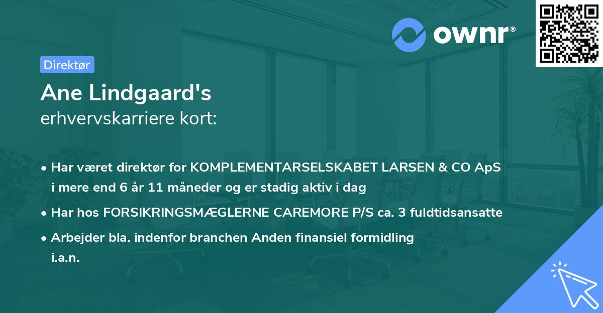 Ane Lindgaard's erhvervskarriere kort