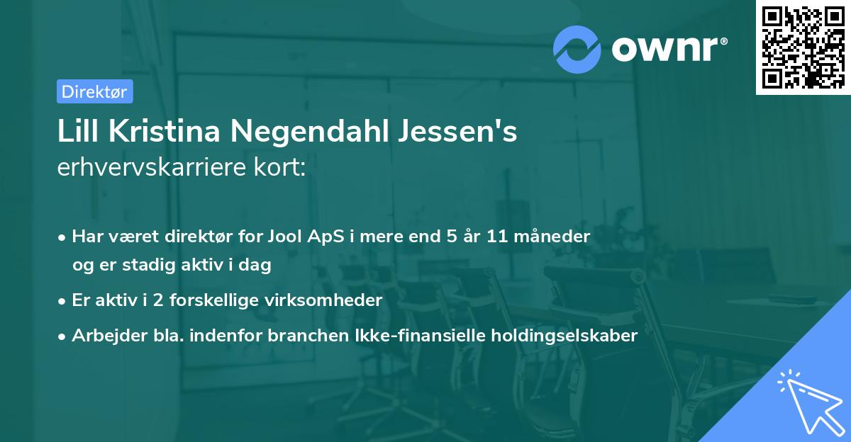 Lill Kristina Negendahl Jessen's erhvervskarriere kort