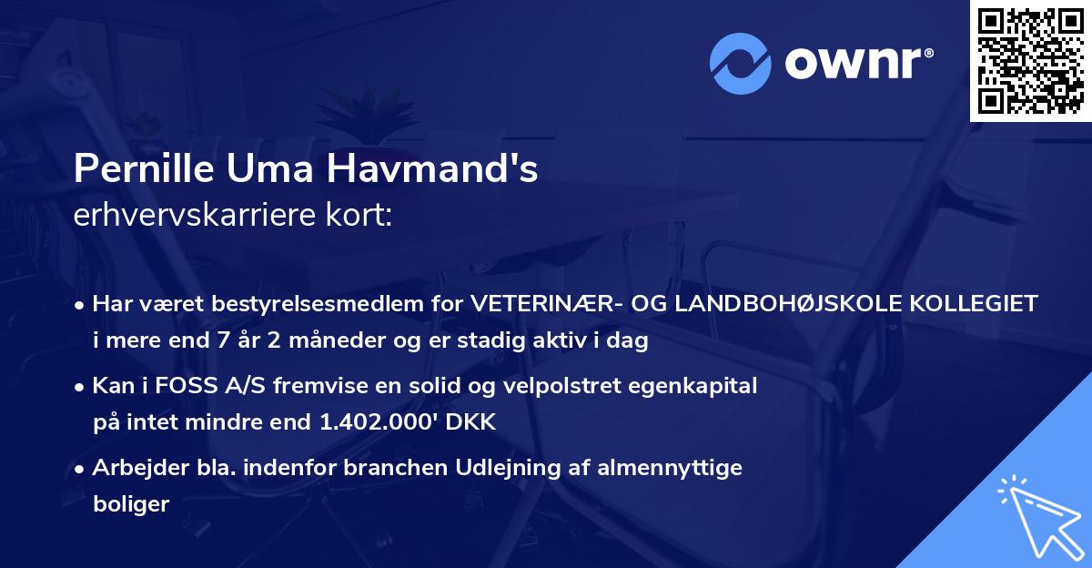 Pernille Uma Havmand's erhvervskarriere kort