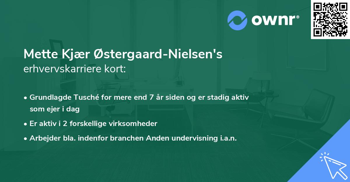 Mette Kjær Østergaard-Nielsen's erhvervskarriere kort