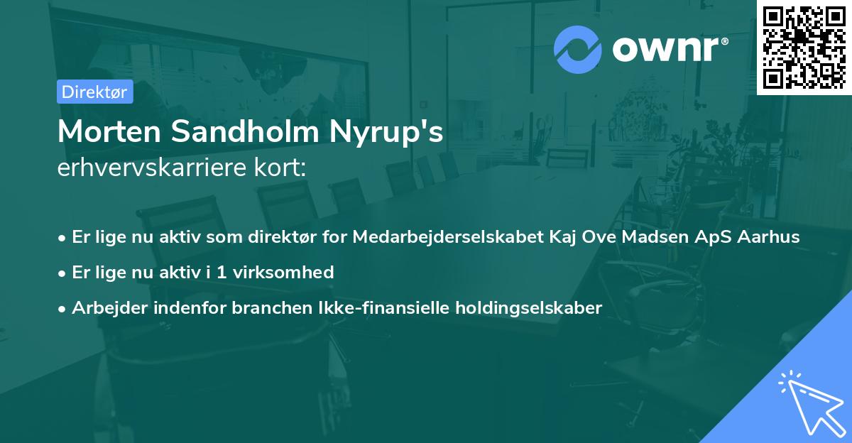 Morten Sandholm Nyrup's erhvervskarriere kort