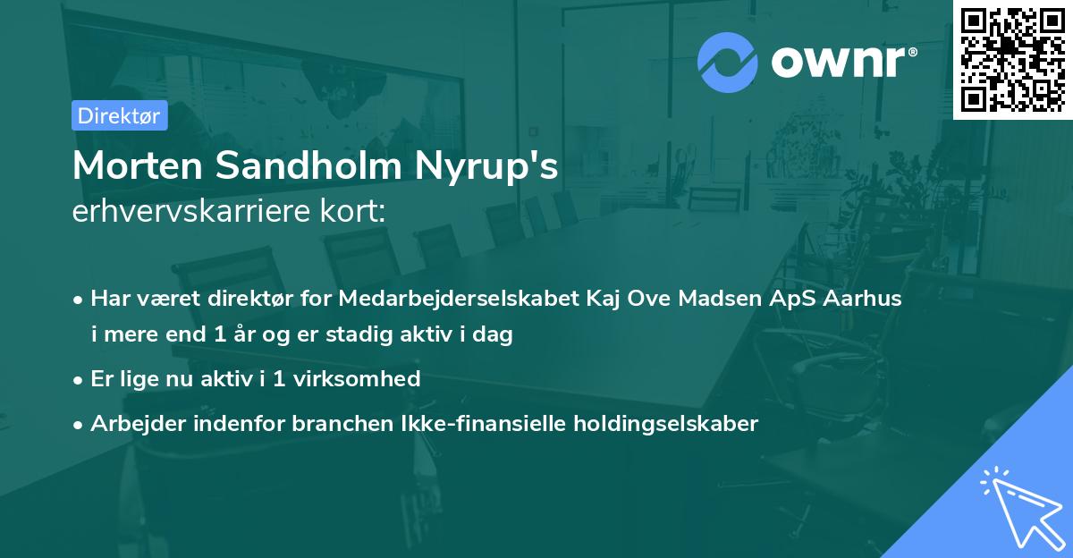 Morten Sandholm Nyrup's erhvervskarriere kort