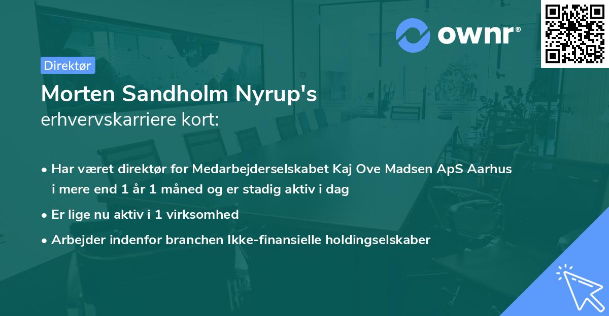 Morten Sandholm Nyrup's erhvervskarriere kort
