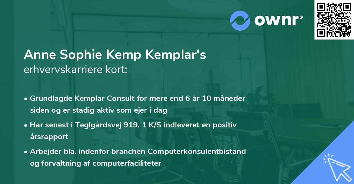 Anne Sophie Kemp Kemplar's erhvervskarriere kort