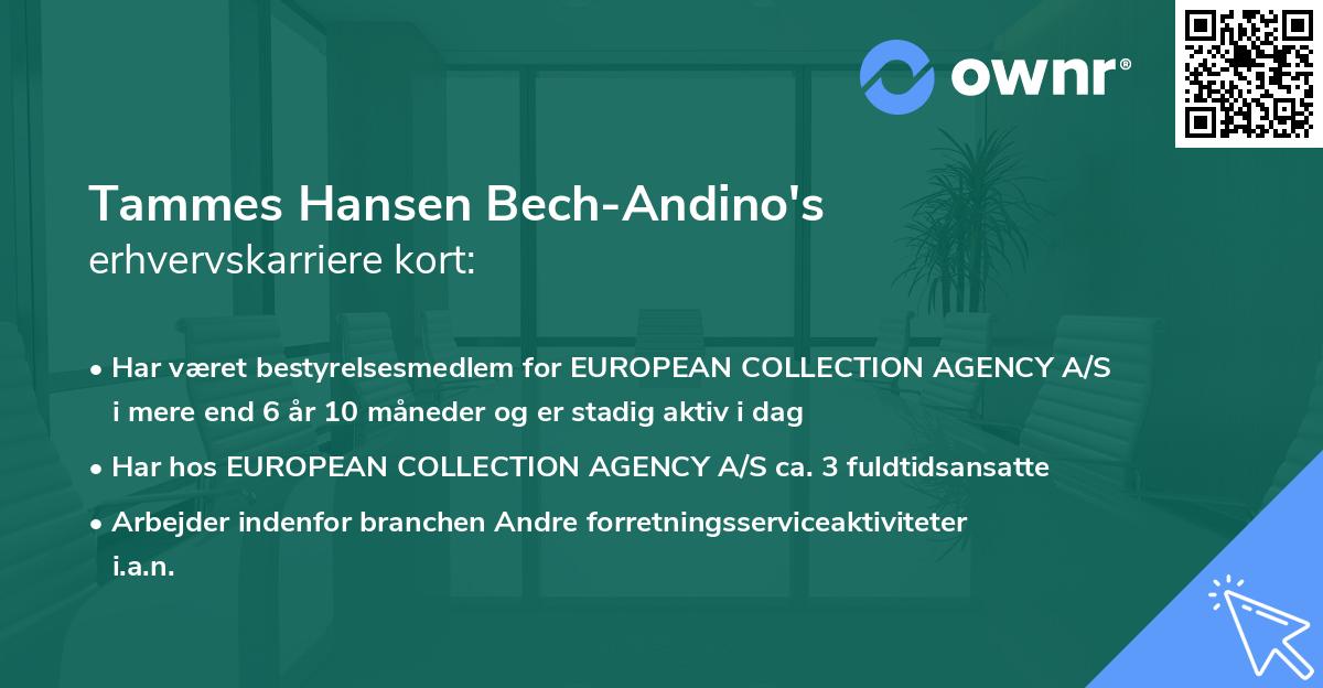 Tammes Hansen Bech-Andino's erhvervskarriere kort