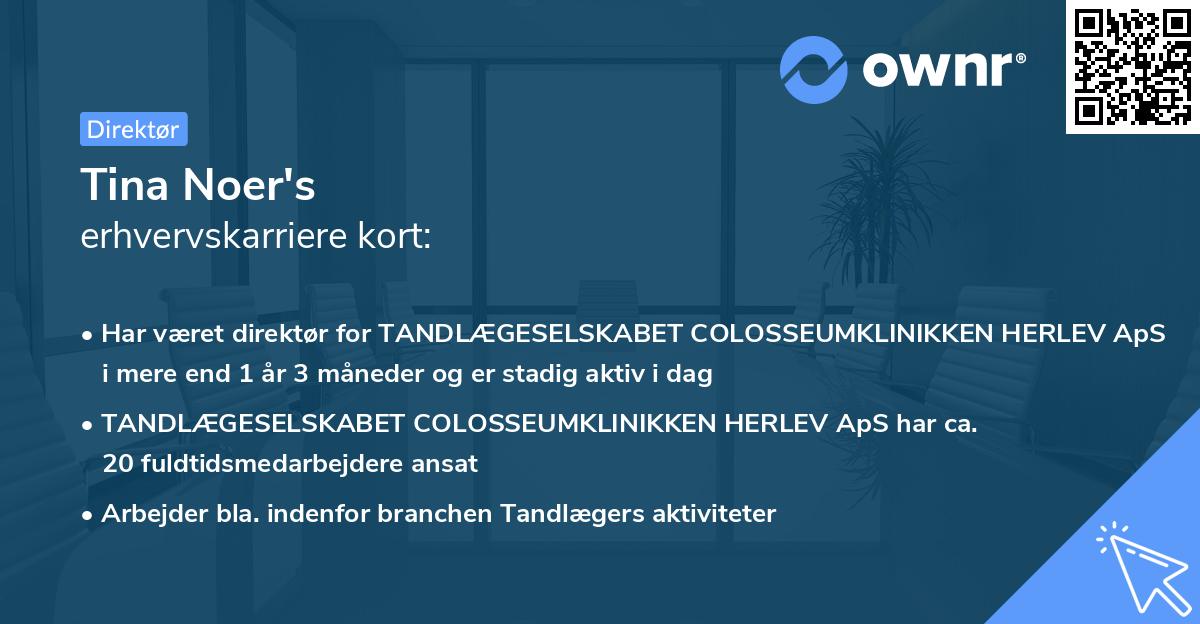 Tina Noer's erhvervskarriere kort
