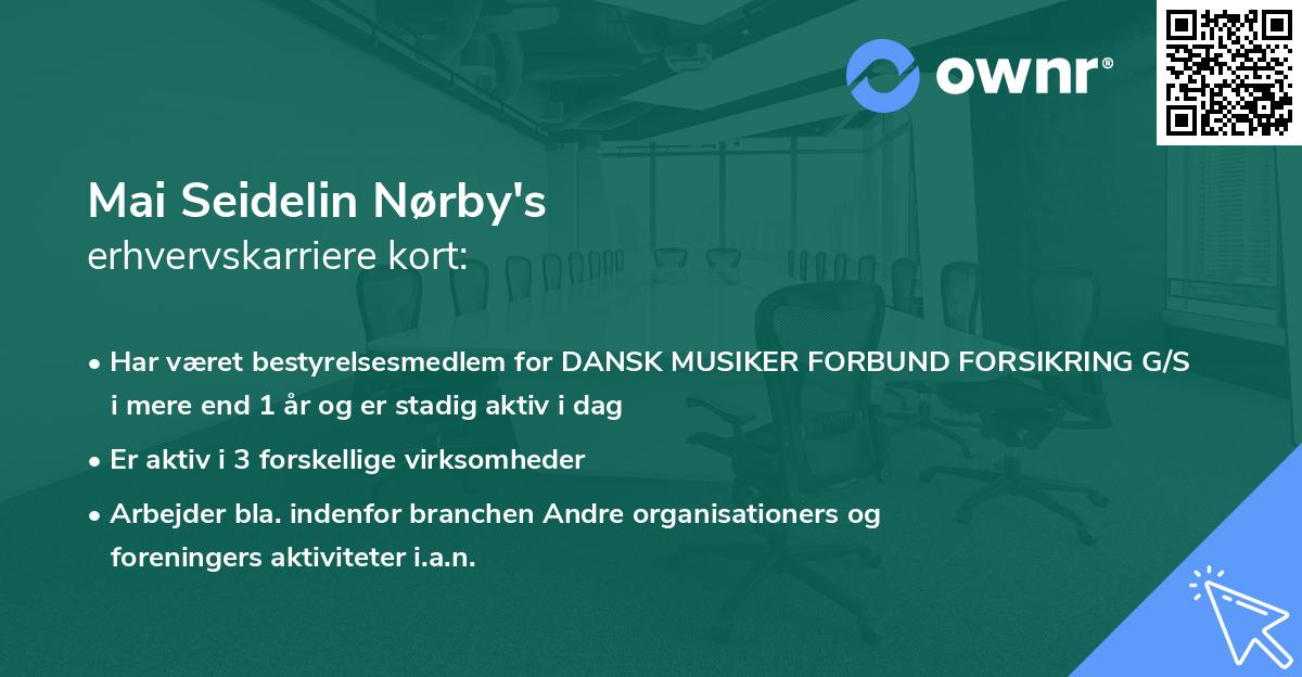 Mai Seidelin Nørby's erhvervskarriere kort