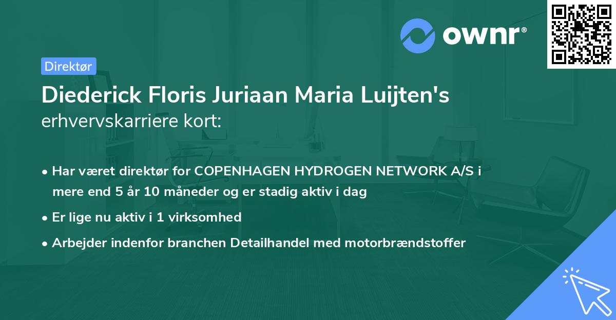 Diederick Floris Juriaan Maria Luijten's erhvervskarriere kort