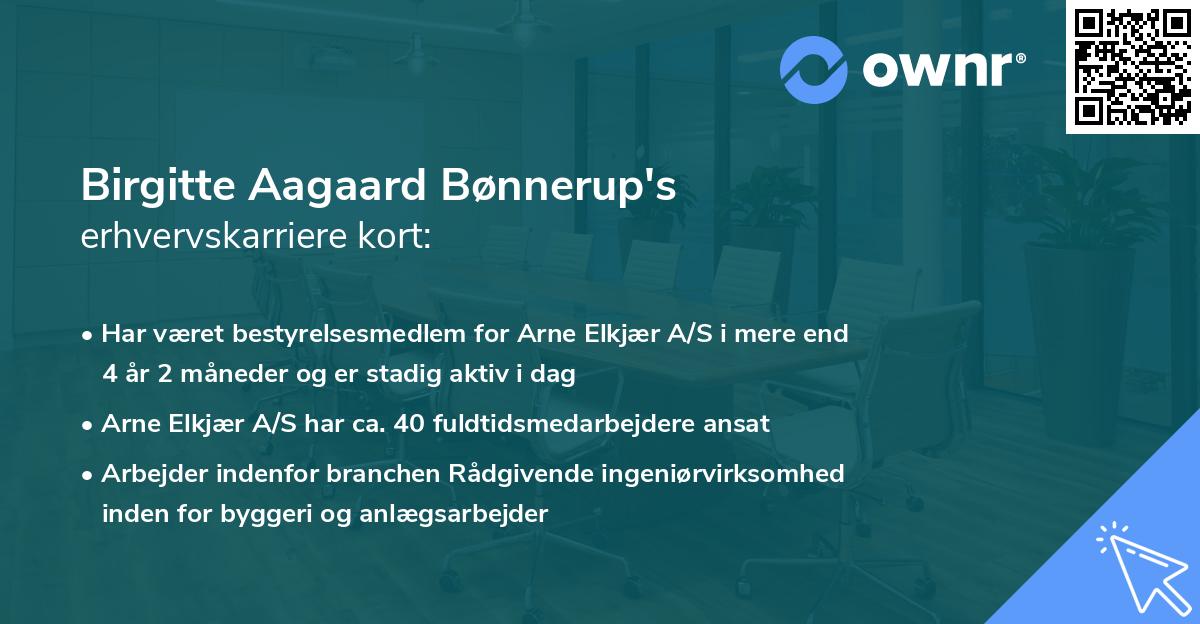 Birgitte Aagaard Bønnerup's erhvervskarriere kort