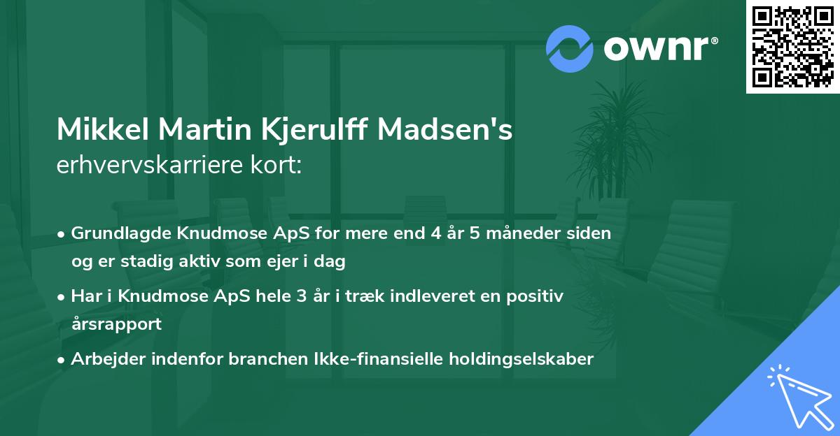 Mikkel Martin Kjerulff Madsen's erhvervskarriere kort