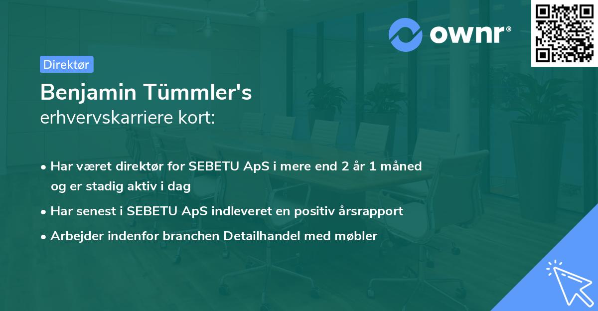 Benjamin Tümmler's erhvervskarriere kort