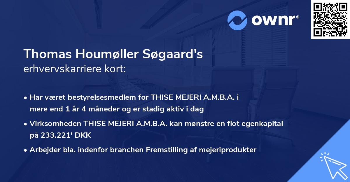 Thomas Houmøller Søgaard's erhvervskarriere kort