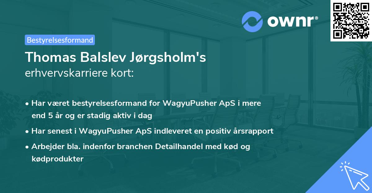 Thomas Balslev Jørgsholm's erhvervskarriere kort