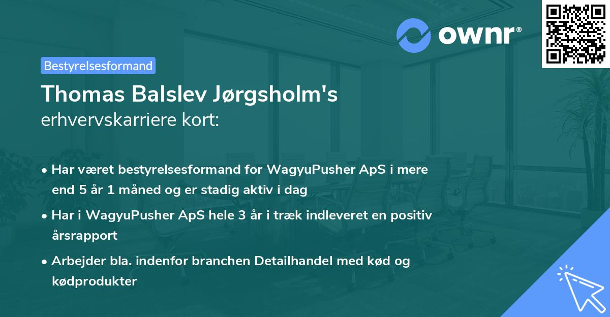 Thomas Balslev Jørgsholm's erhvervskarriere kort