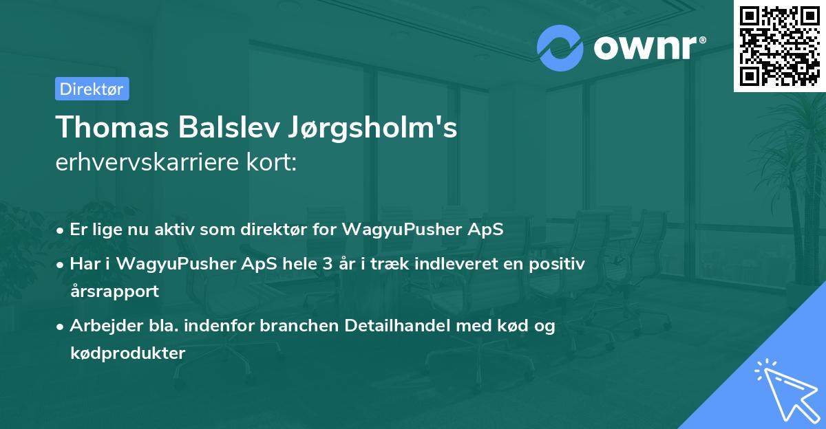 Thomas Balslev Jørgsholm's erhvervskarriere kort