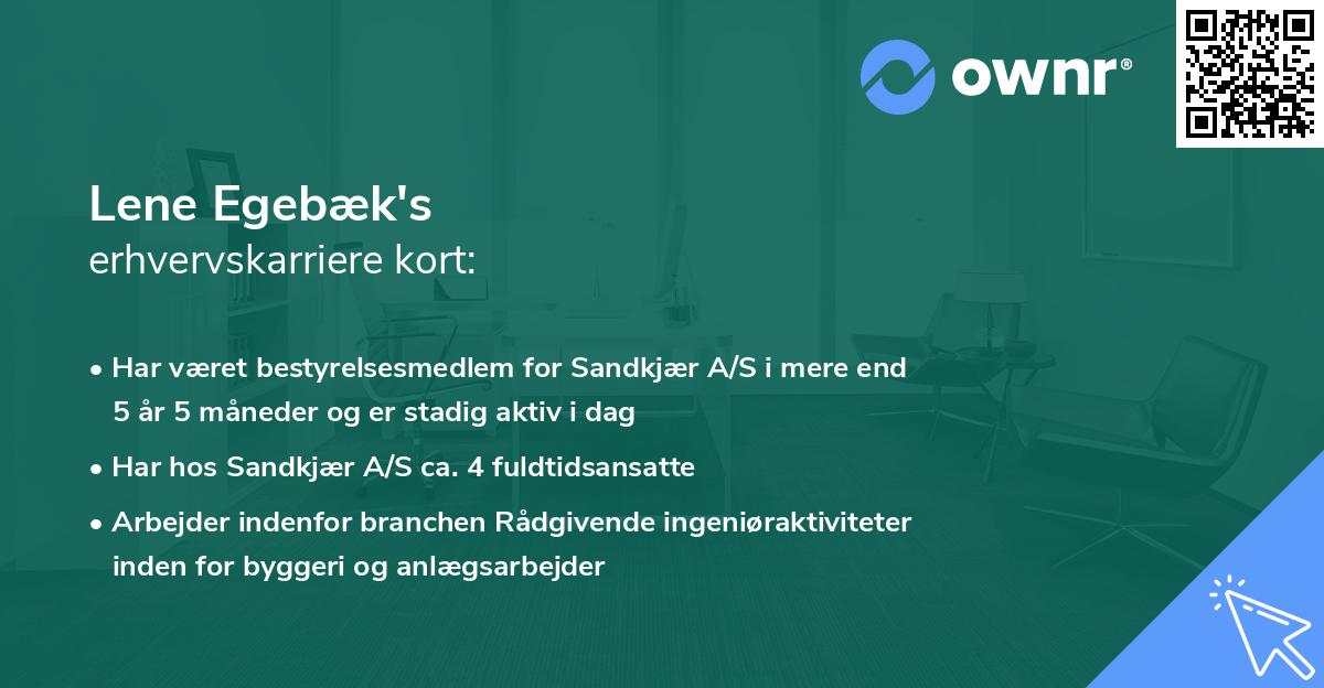Lene Egebæk's erhvervskarriere kort
