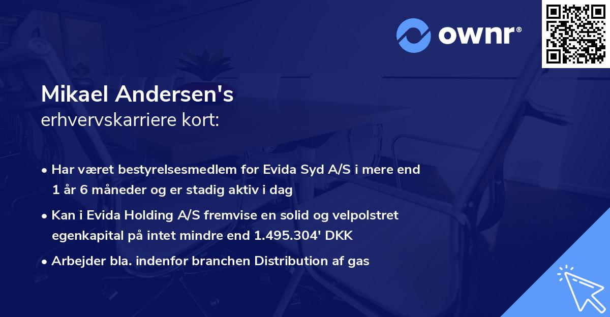 Mikael Andersen's erhvervskarriere kort