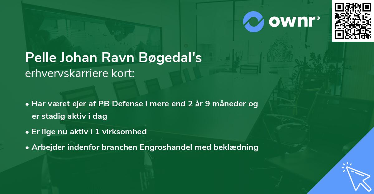 Pelle Johan Ravn Bøgedal's erhvervskarriere kort