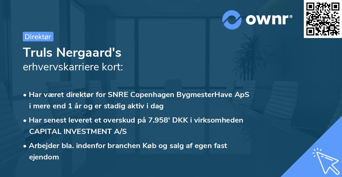 Truls Nergaard's erhvervskarriere kort