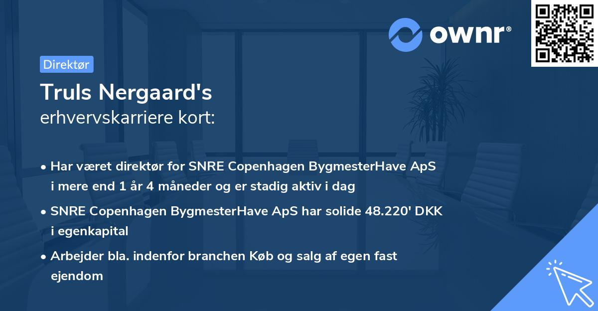 Truls Nergaard's erhvervskarriere kort