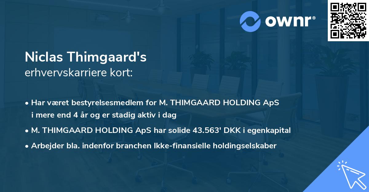 Niclas Thimgaard's erhvervskarriere kort