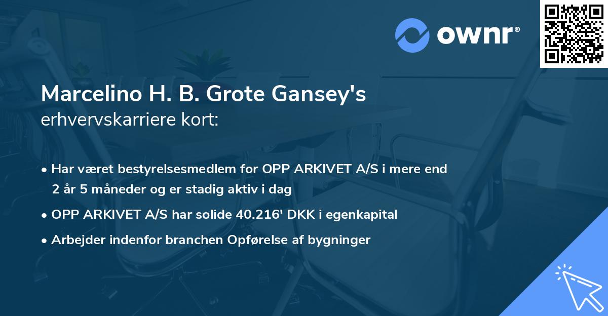 Marcelino H. B. Grote Gansey's erhvervskarriere kort