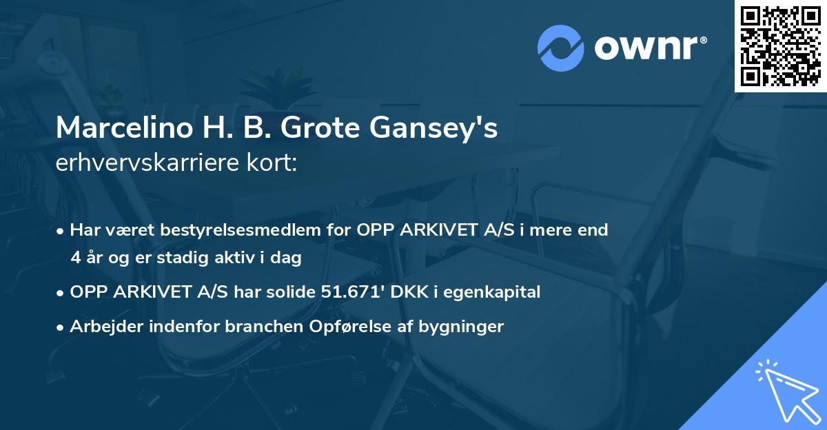Marcelino H. B. Grote Gansey's erhvervskarriere kort