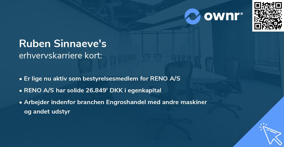 Ruben Sinnaeve's erhvervskarriere kort