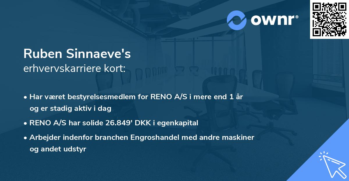 Ruben Sinnaeve's erhvervskarriere kort