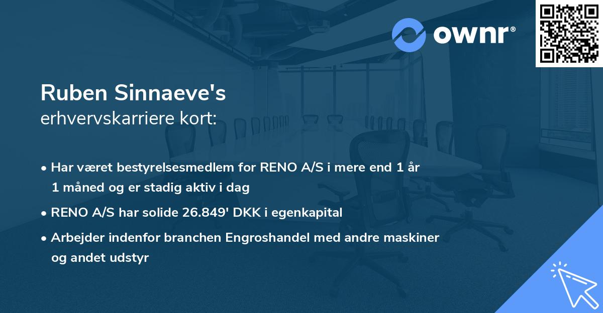 Ruben Sinnaeve's erhvervskarriere kort