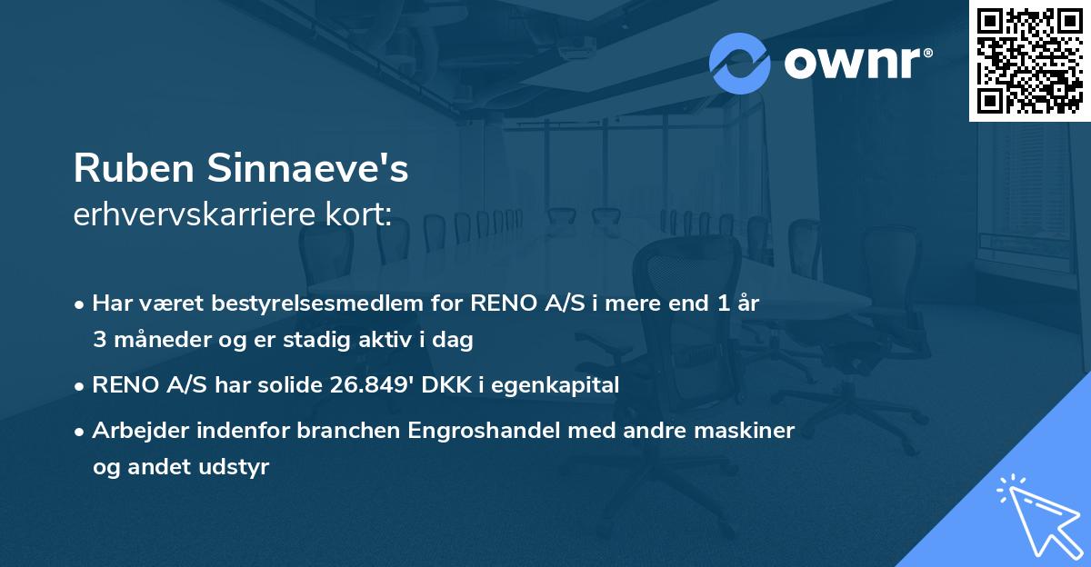 Ruben Sinnaeve's erhvervskarriere kort