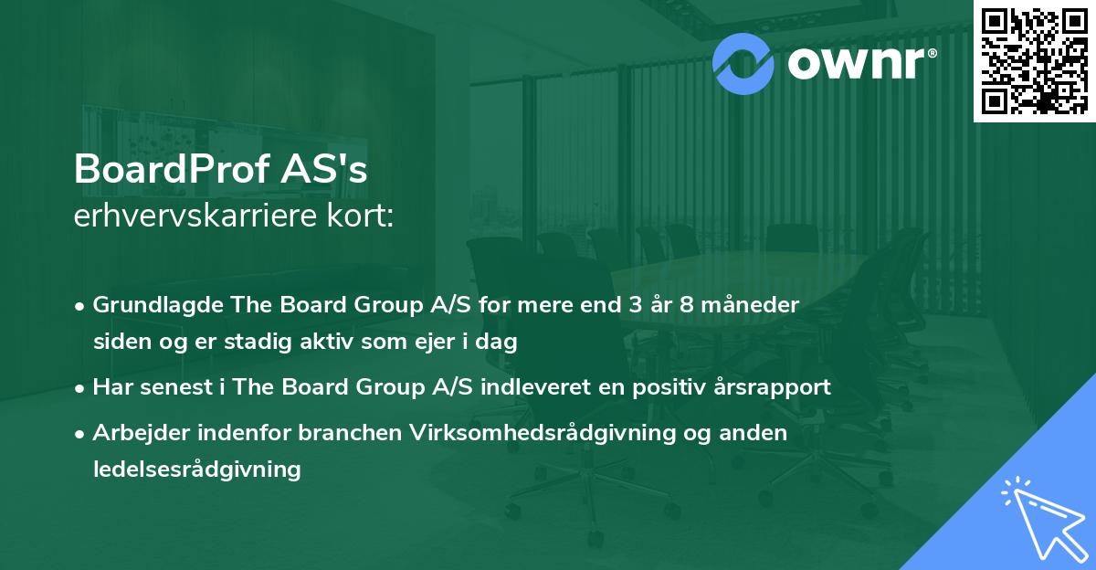 BoardProf AS's erhvervskarriere kort