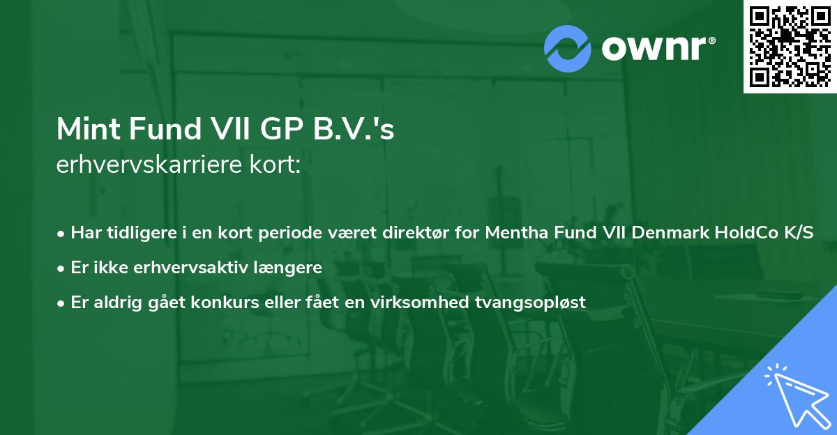 Mint Fund VII GP B.V.'s erhvervskarriere kort
