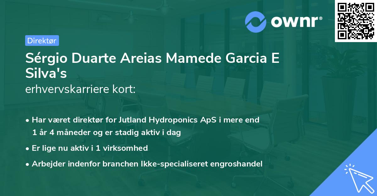 Sérgio Duarte Areias Mamede Garcia E Silva's erhvervskarriere kort
