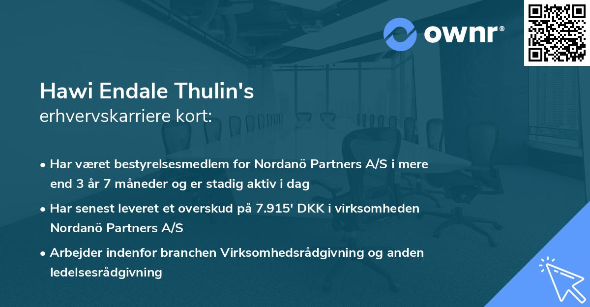Hawi Endale Thulin's erhvervskarriere kort