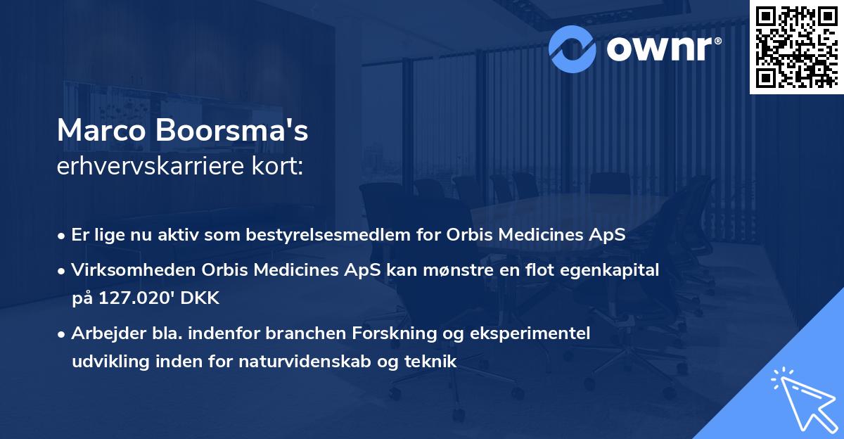 Marco Boorsma's erhvervskarriere kort