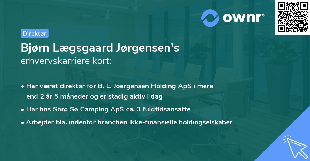 Bjørn Lægsgaard Jørgensen's erhvervskarriere kort