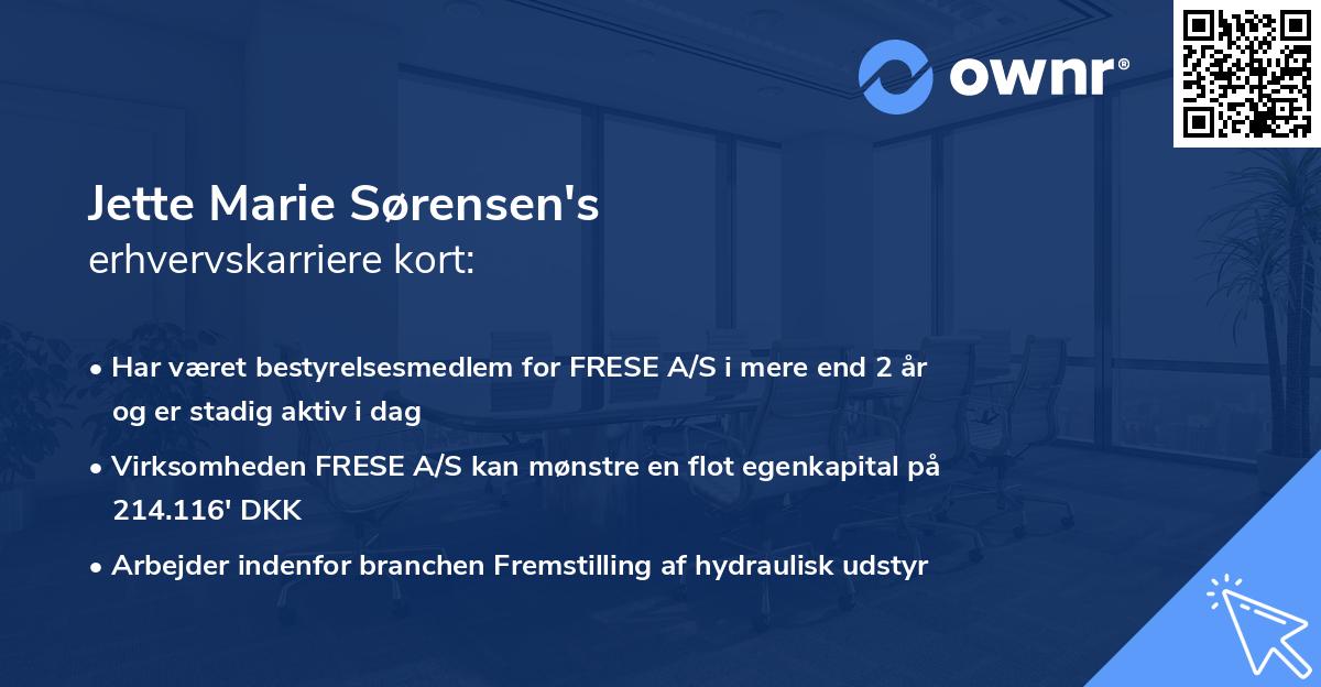 Jette Marie Sørensen's erhvervskarriere kort