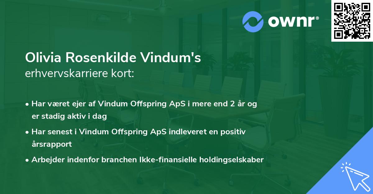 Olivia Rosenkilde Vindum's erhvervskarriere kort