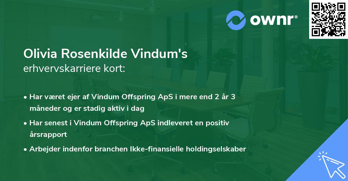 Olivia Rosenkilde Vindum's erhvervskarriere kort