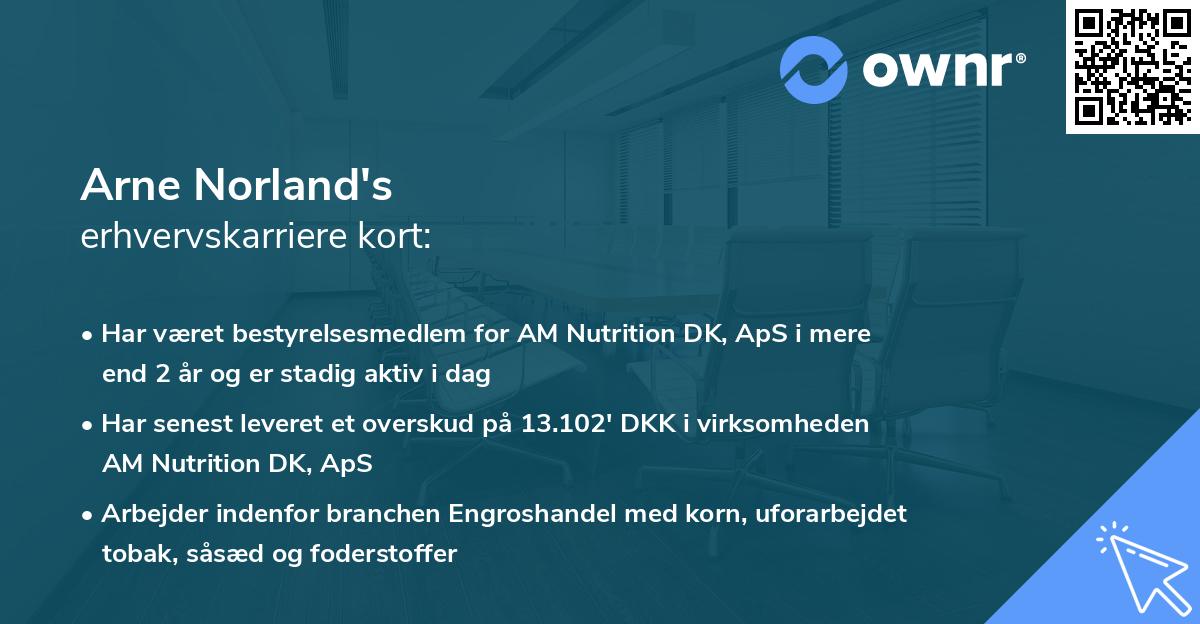 Arne Norland's erhvervskarriere kort