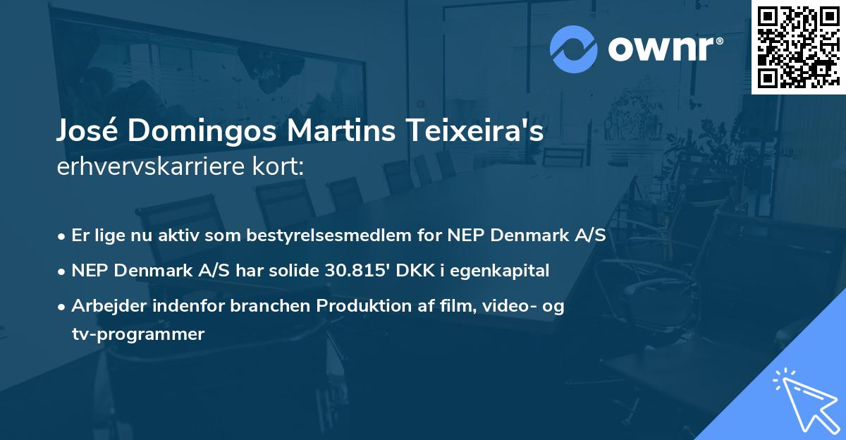 José Domingos Martins Teixeira's erhvervskarriere kort