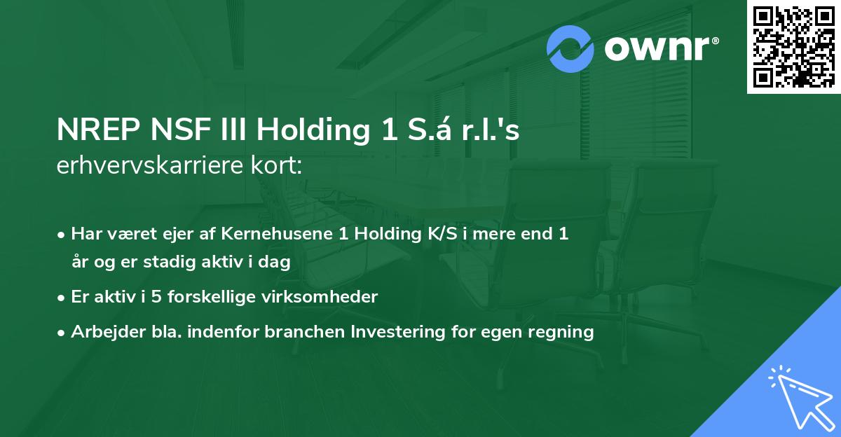 NREP NSF III Holding 1 S.á r.l.'s erhvervskarriere kort